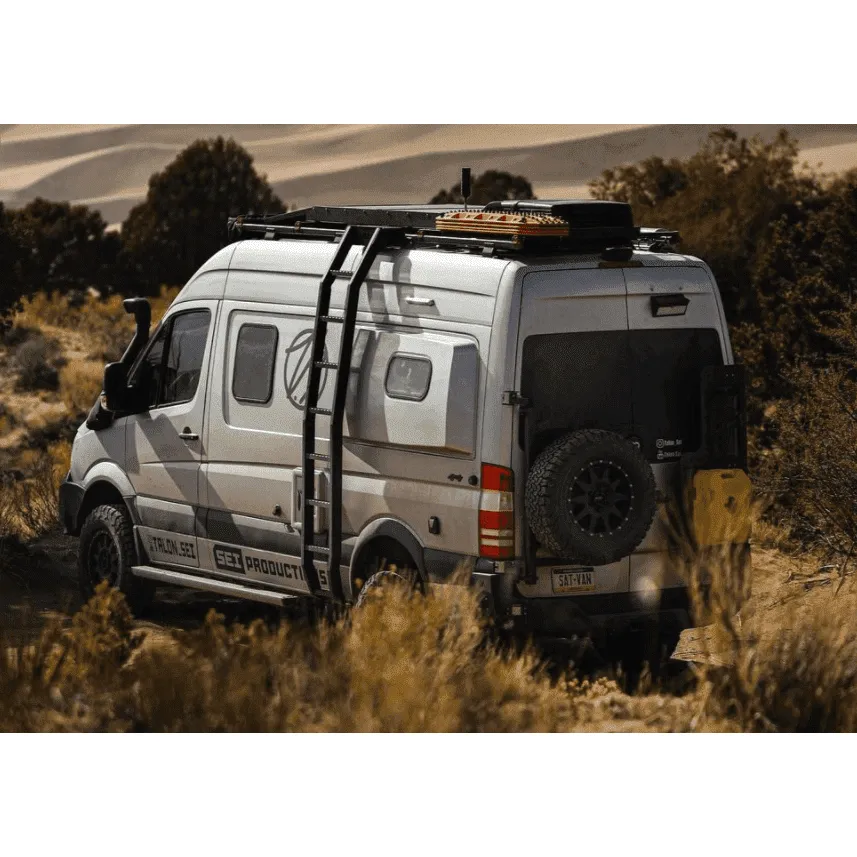 Backwoods Mercedes Winnebago Revel Ladder