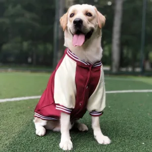 BarkBall Champion Jacket