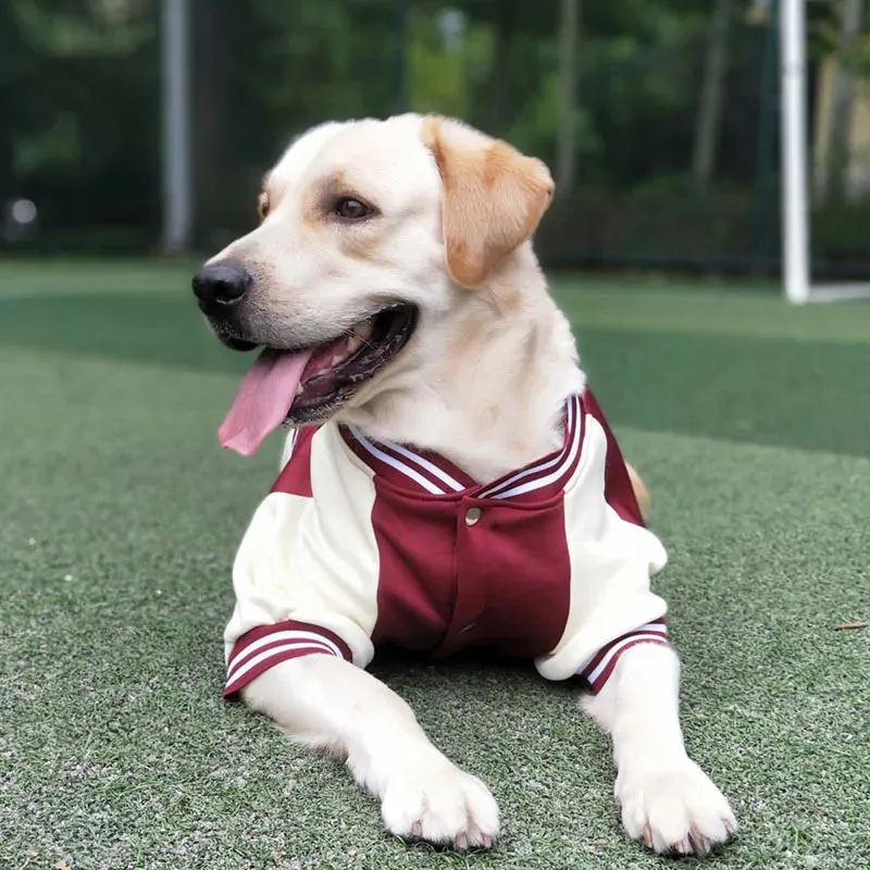 BarkBall Champion Jacket