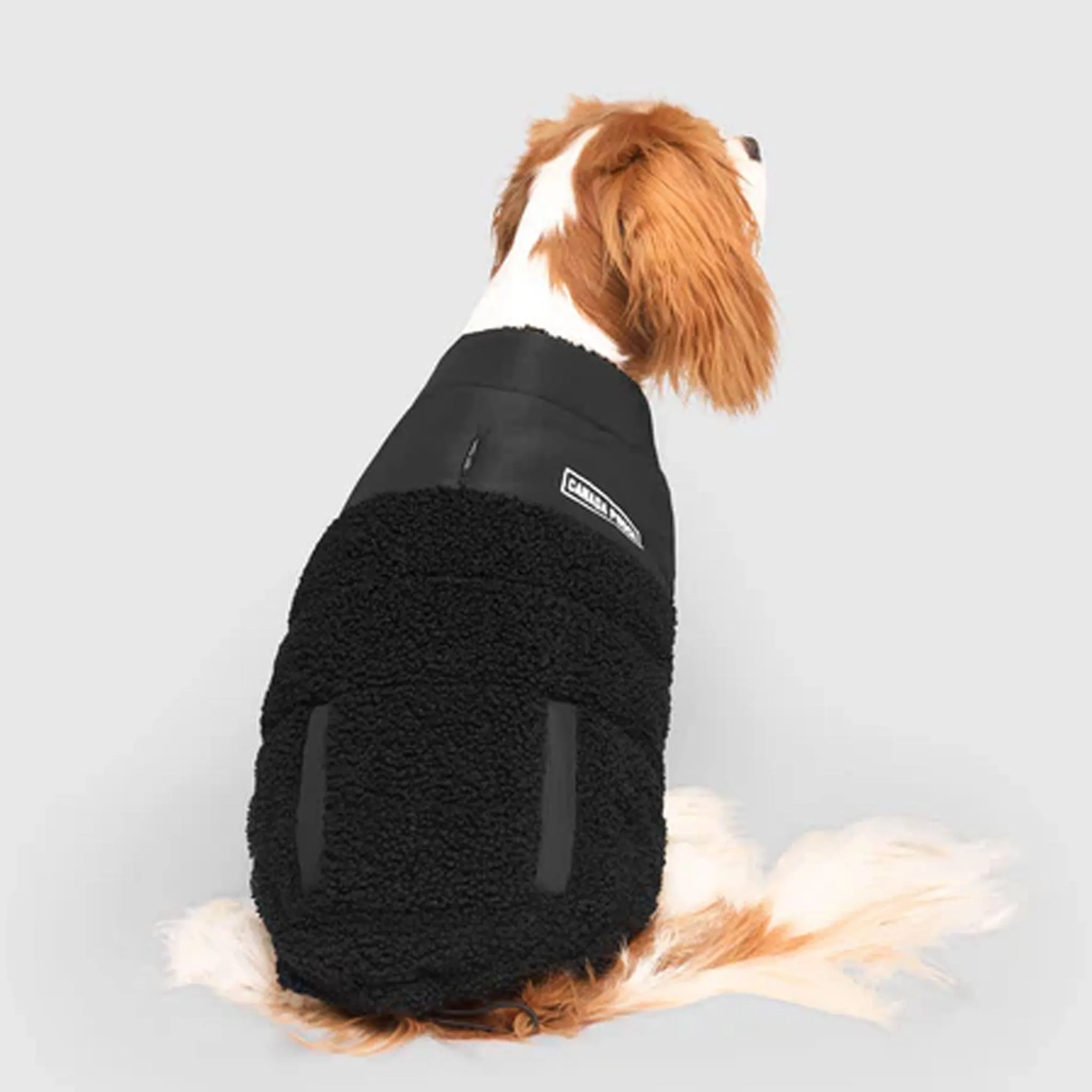 Canada Pooch Cool Factor Puffer Jacket - Black