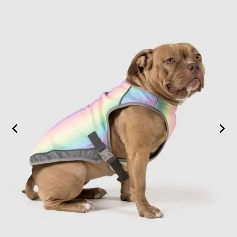 Canada Pooch Cooling Vest Rainbow