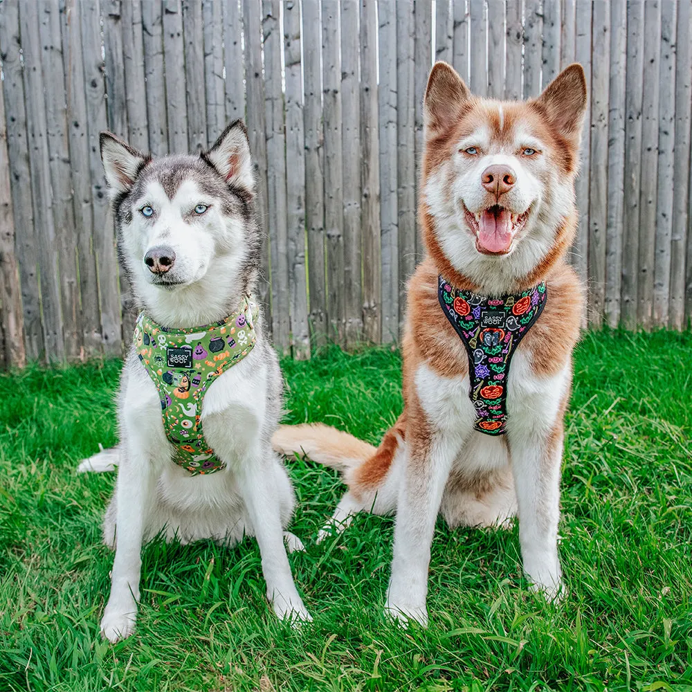 Dog Adjustable Harness - Neon Frights