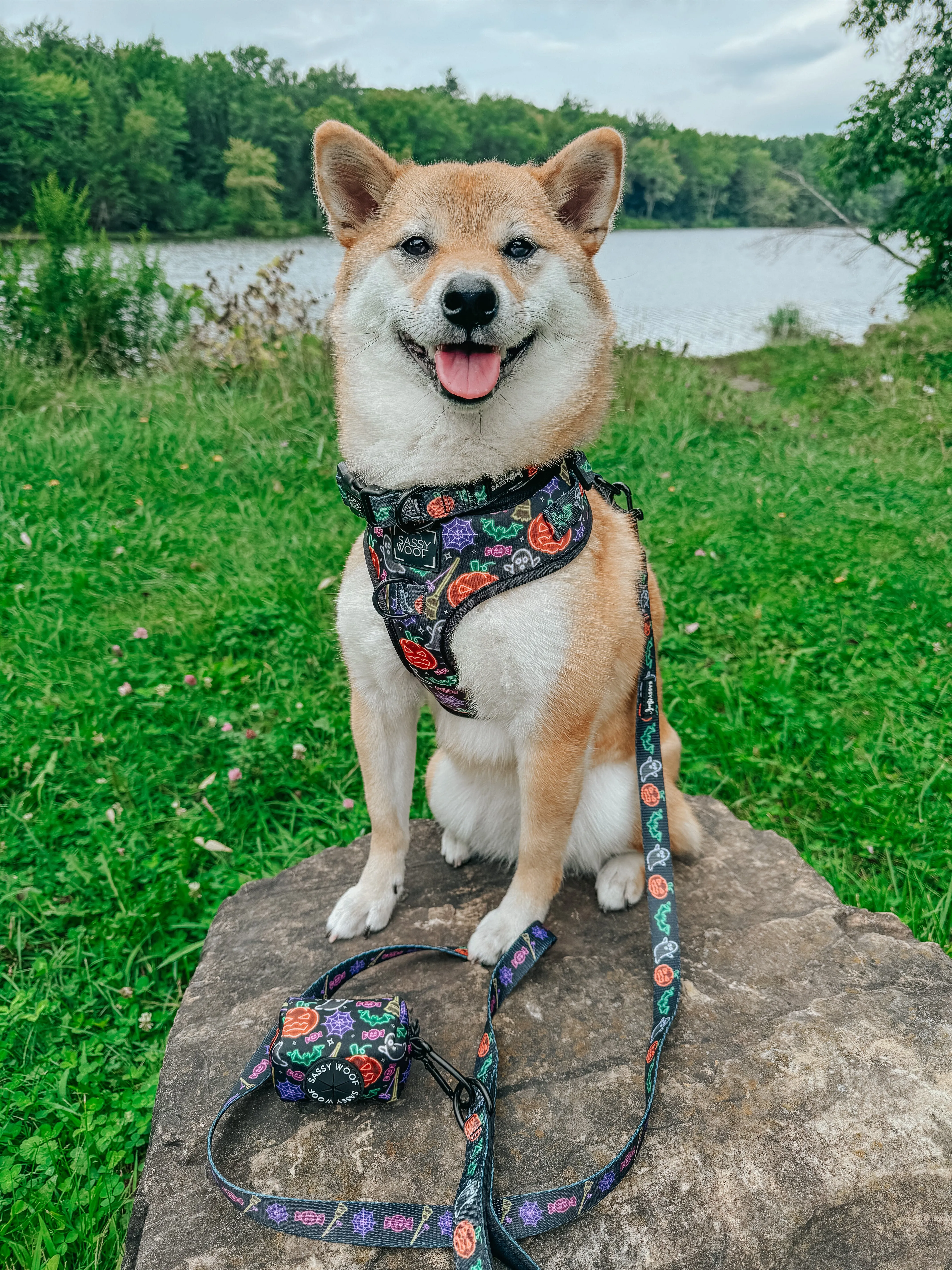 Dog Adjustable Harness - Neon Frights