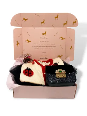 Lovely Ladybug Gift Set