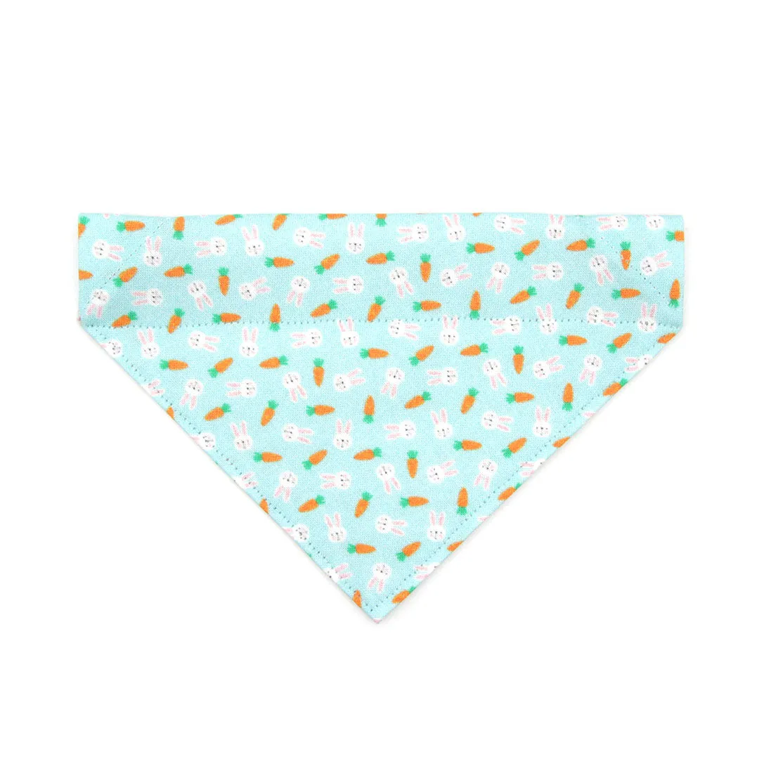 Pet Bandana - "Bunnies & Carrots Blue" - Light Aqua Bunny Bandana for Cat   Small Dog / Easter / Slide-on Bandana / Over-the-Collar (One Size)