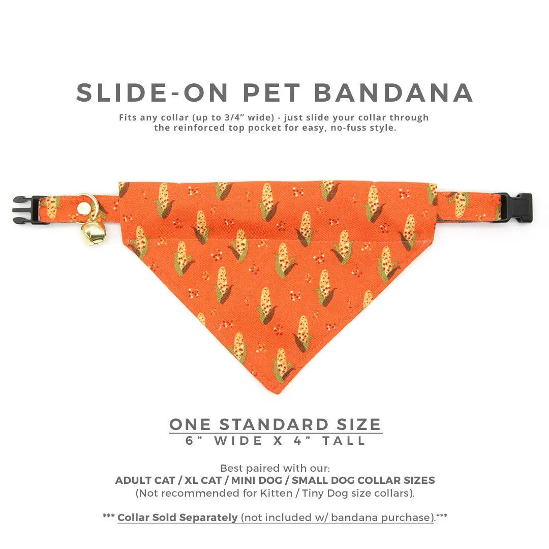 Pet Bandana - "Corn Maze" - Fall Harvest Bandana for Cat   Small Dog / Autumn   Thanksgiving / Slide-on Bandana / Over-the-Collar (One Size)