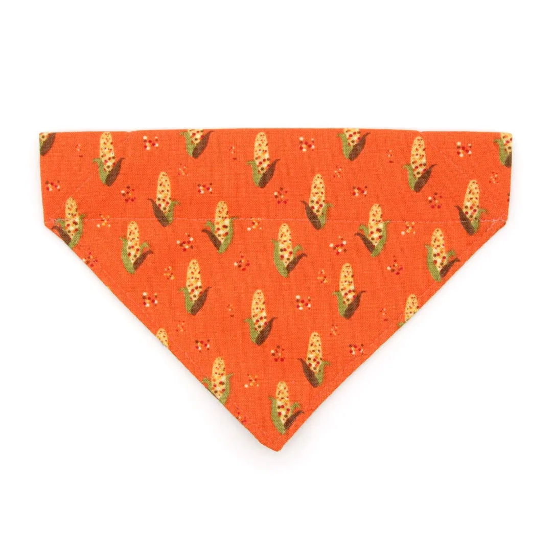 Pet Bandana - "Corn Maze" - Fall Harvest Bandana for Cat   Small Dog / Autumn   Thanksgiving / Slide-on Bandana / Over-the-Collar (One Size)