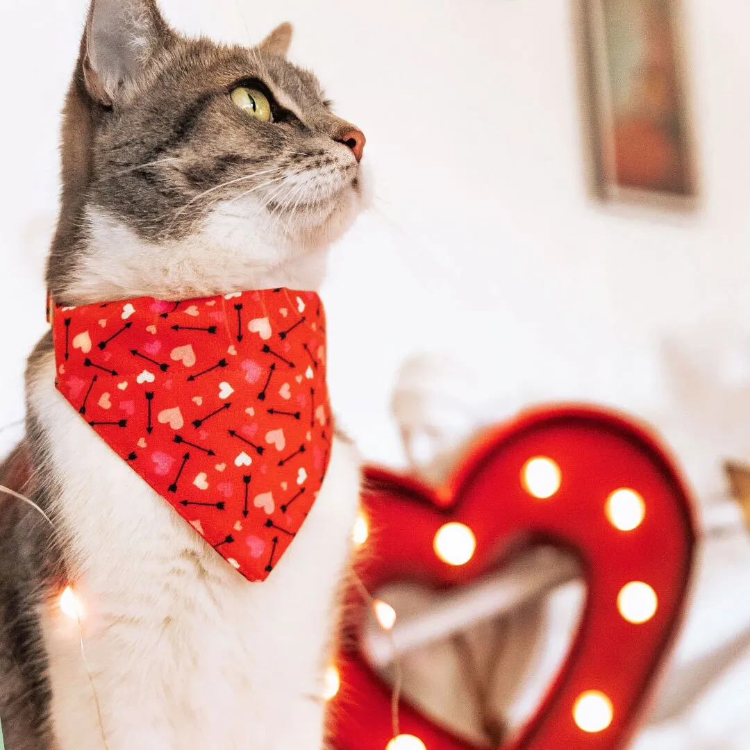 Pet Bandana - "Cupid's Arrow" - Valentine's Day Heart Bandana for Cat   Small Dog / Slide-on Bandana / Over-the-Collar (One Size)