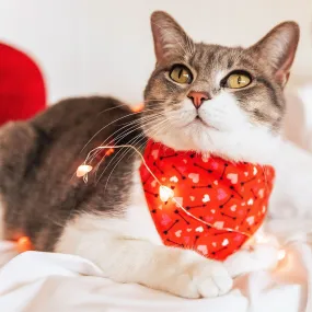 Pet Bandana - "Cupid's Arrow" - Valentine's Day Heart Bandana for Cat   Small Dog / Slide-on Bandana / Over-the-Collar (One Size)