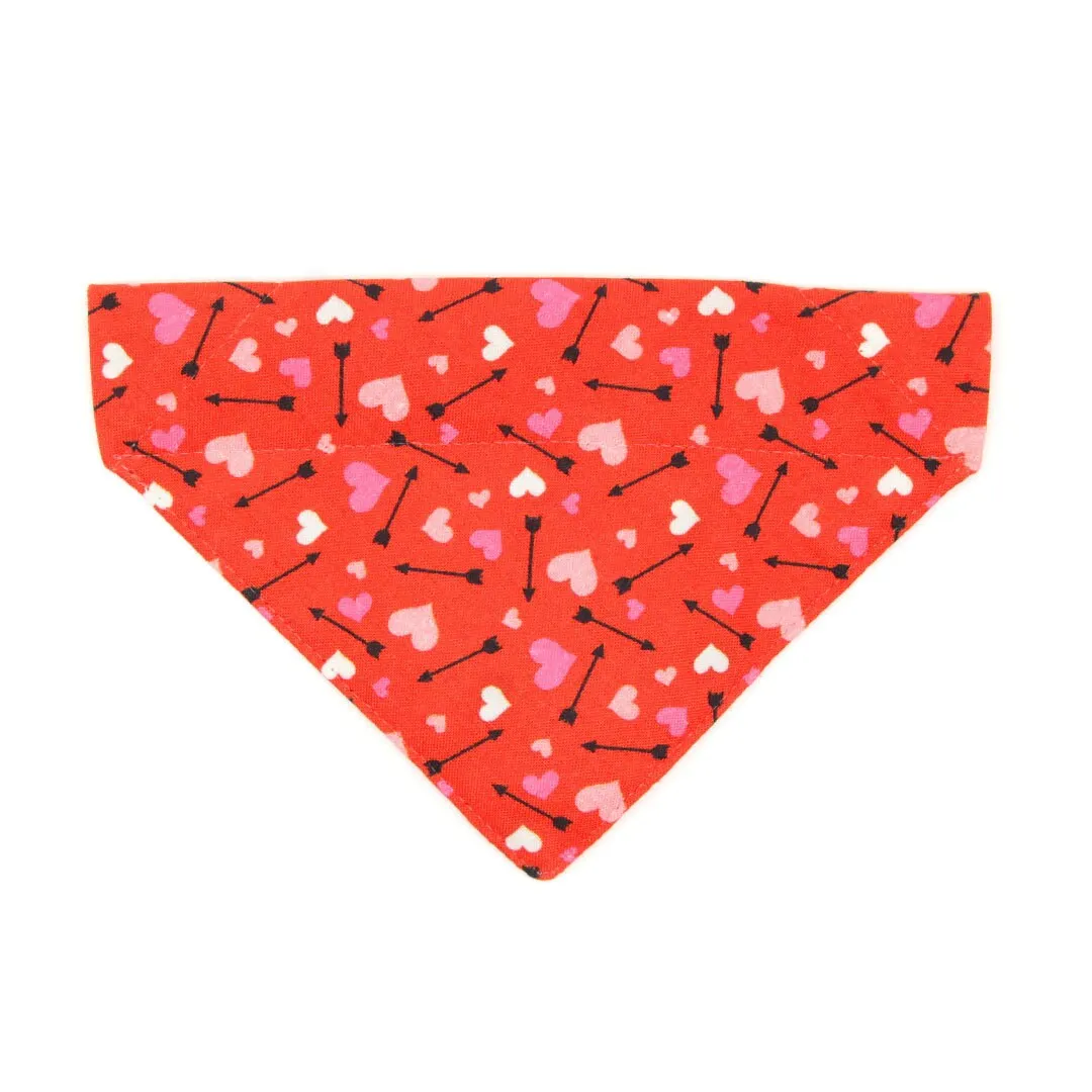 Pet Bandana - "Cupid's Arrow" - Valentine's Day Heart Bandana for Cat   Small Dog / Slide-on Bandana / Over-the-Collar (One Size)