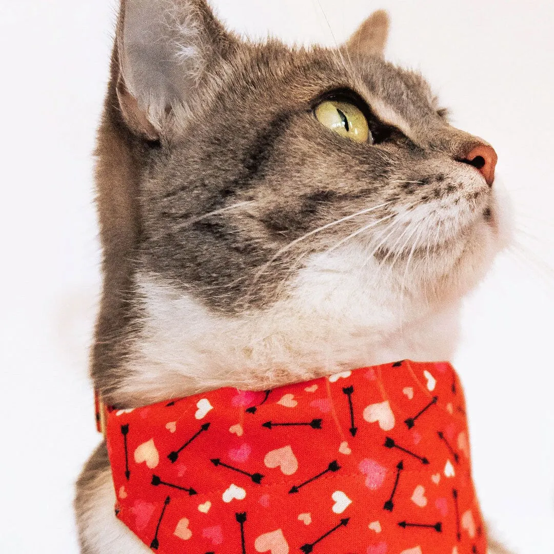 Pet Bandana - "Cupid's Arrow" - Valentine's Day Heart Bandana for Cat   Small Dog / Slide-on Bandana / Over-the-Collar (One Size)