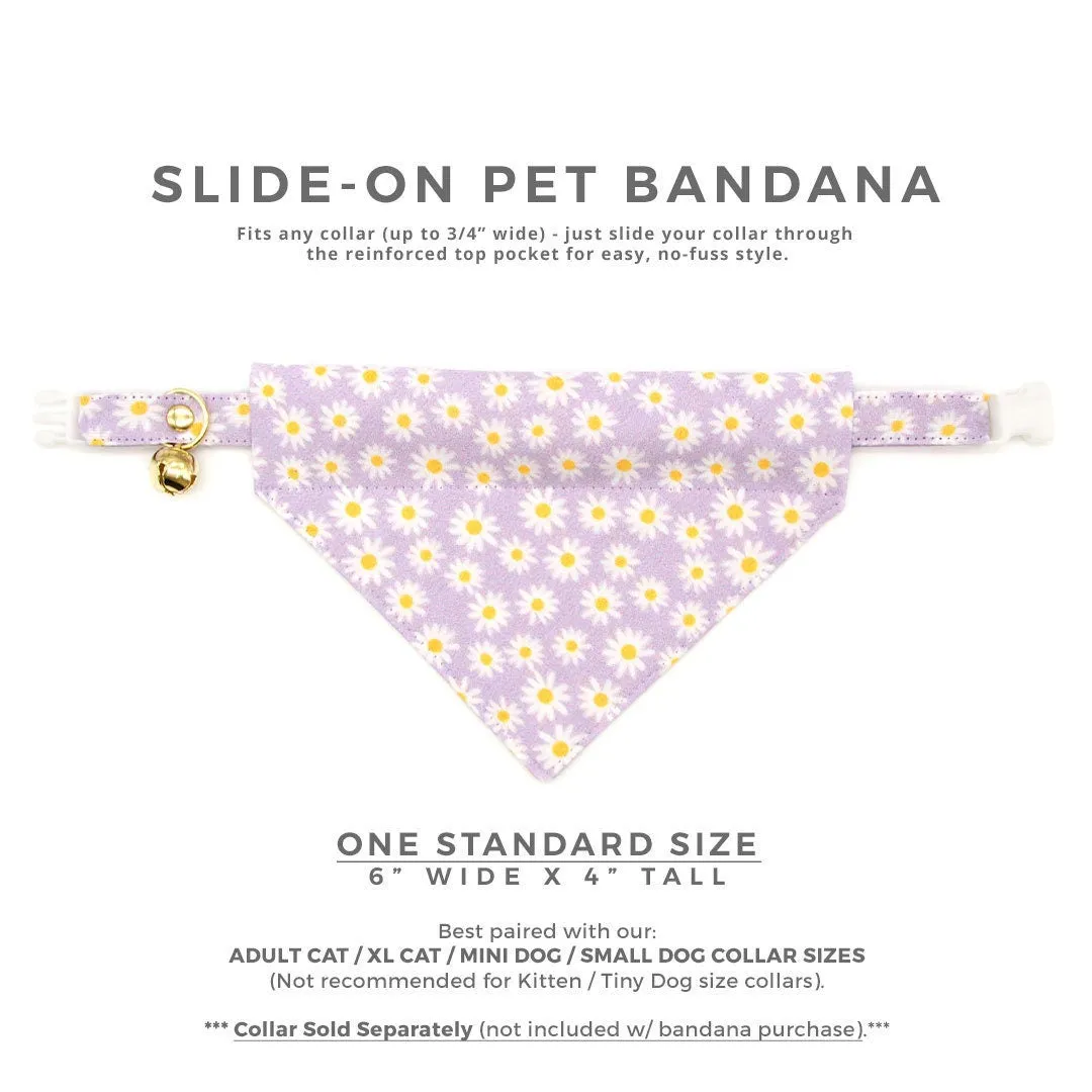 Pet Bandana - "Daisies - Purple" - Floral Daisy Bandana for Cat   Small Dog / Spring, Summer, Easter / Slide-on Bandana / Over-the-Collar (One Size)