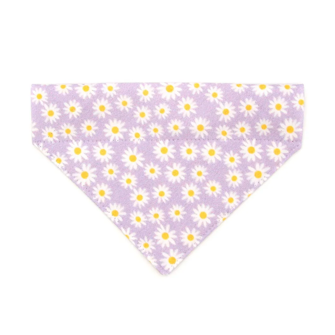 Pet Bandana - "Daisies - Purple" - Floral Daisy Bandana for Cat   Small Dog / Spring, Summer, Easter / Slide-on Bandana / Over-the-Collar (One Size)