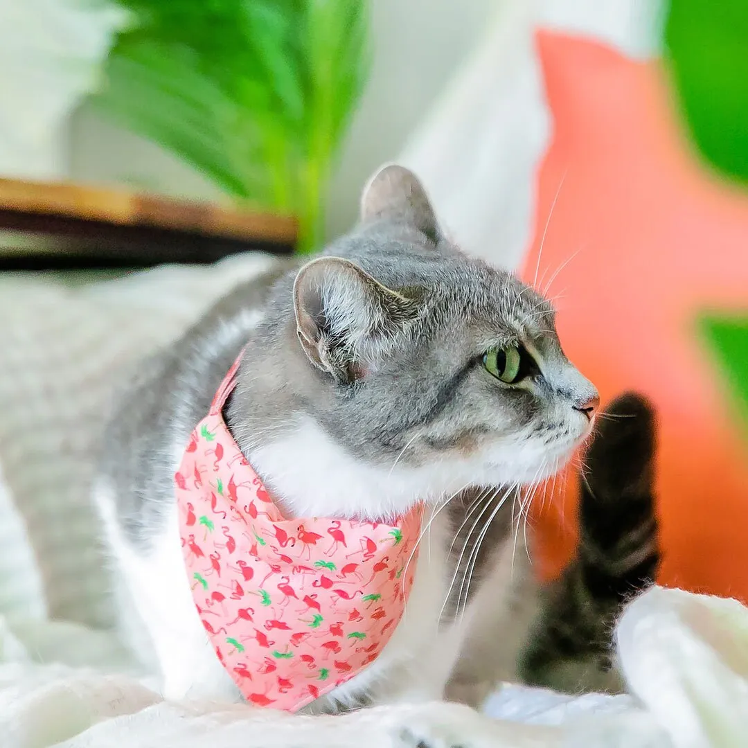 Pet Bandana - "Flamingo Palms - Coral Pink" - Tropical Pink Bandana for Cat   Small Dog / Summer / Slide-on Bandana / Over-the-Collar (One Size)