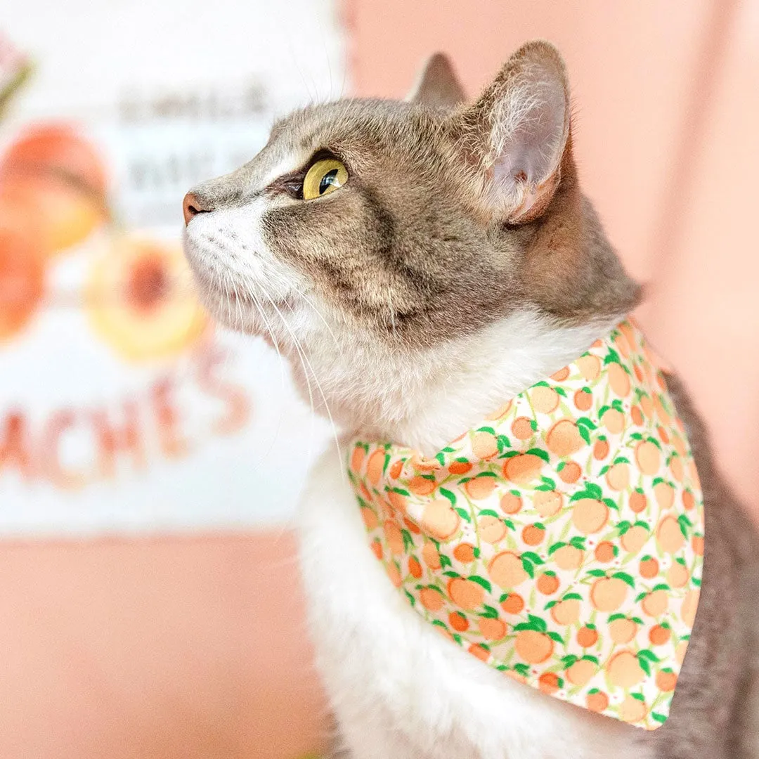 Pet Bandana - "Just Peachy" - Peach Bandana for Cat   Small Dog / Peaches Slide-on Bandana / Over-the-Collar (One Size)