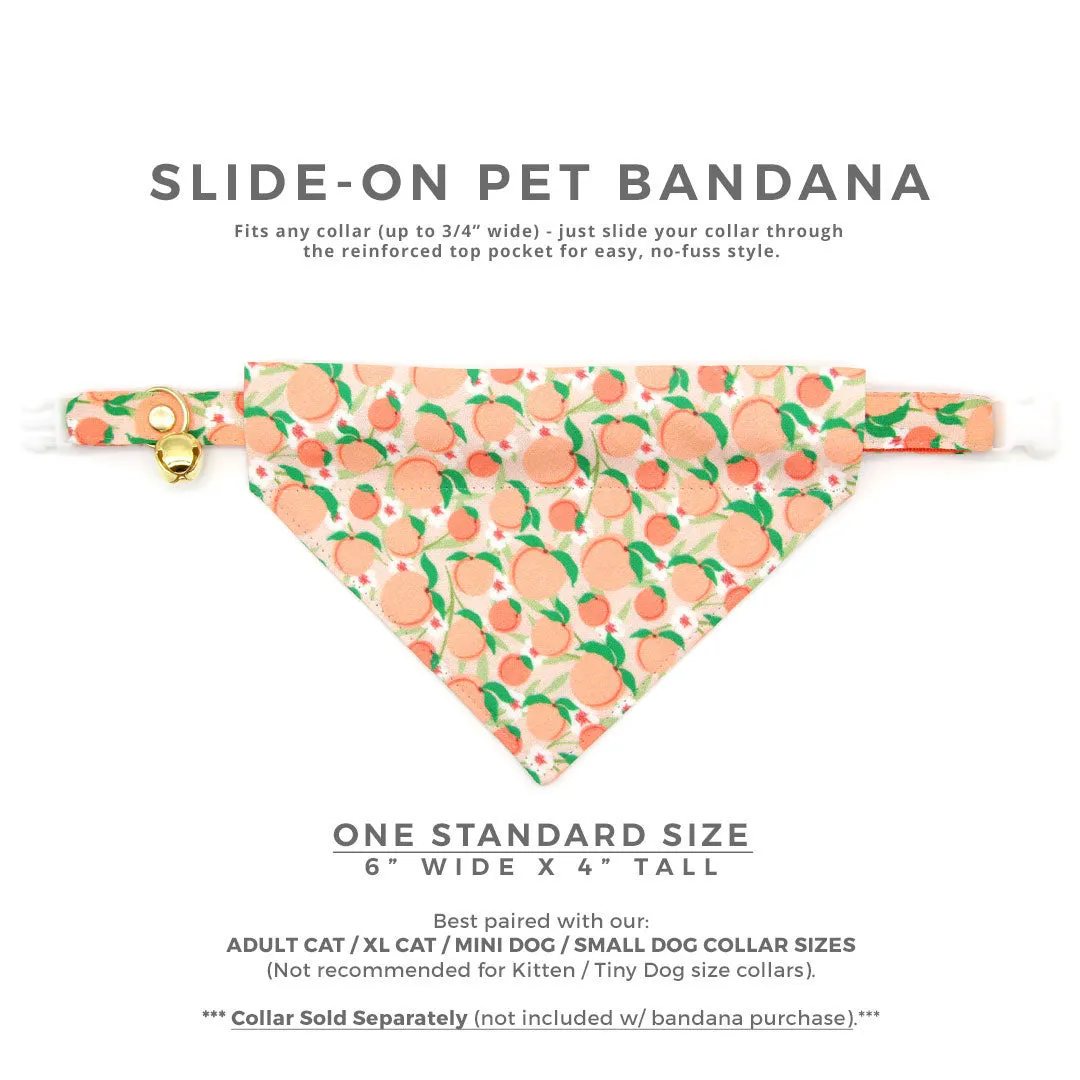 Pet Bandana - "Just Peachy" - Peach Bandana for Cat   Small Dog / Peaches Slide-on Bandana / Over-the-Collar (One Size)