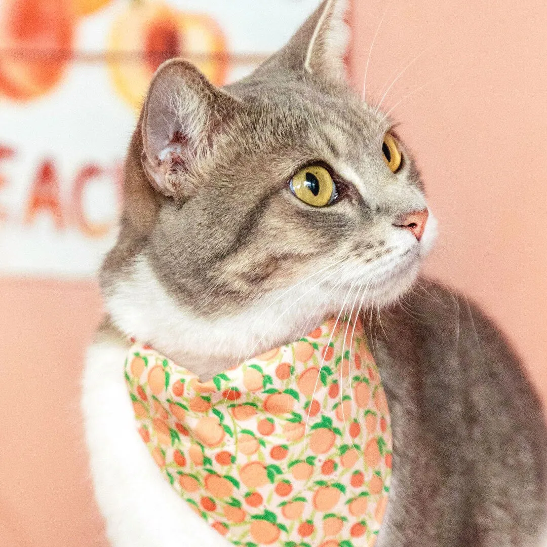 Pet Bandana - "Just Peachy" - Peach Bandana for Cat   Small Dog / Peaches Slide-on Bandana / Over-the-Collar (One Size)