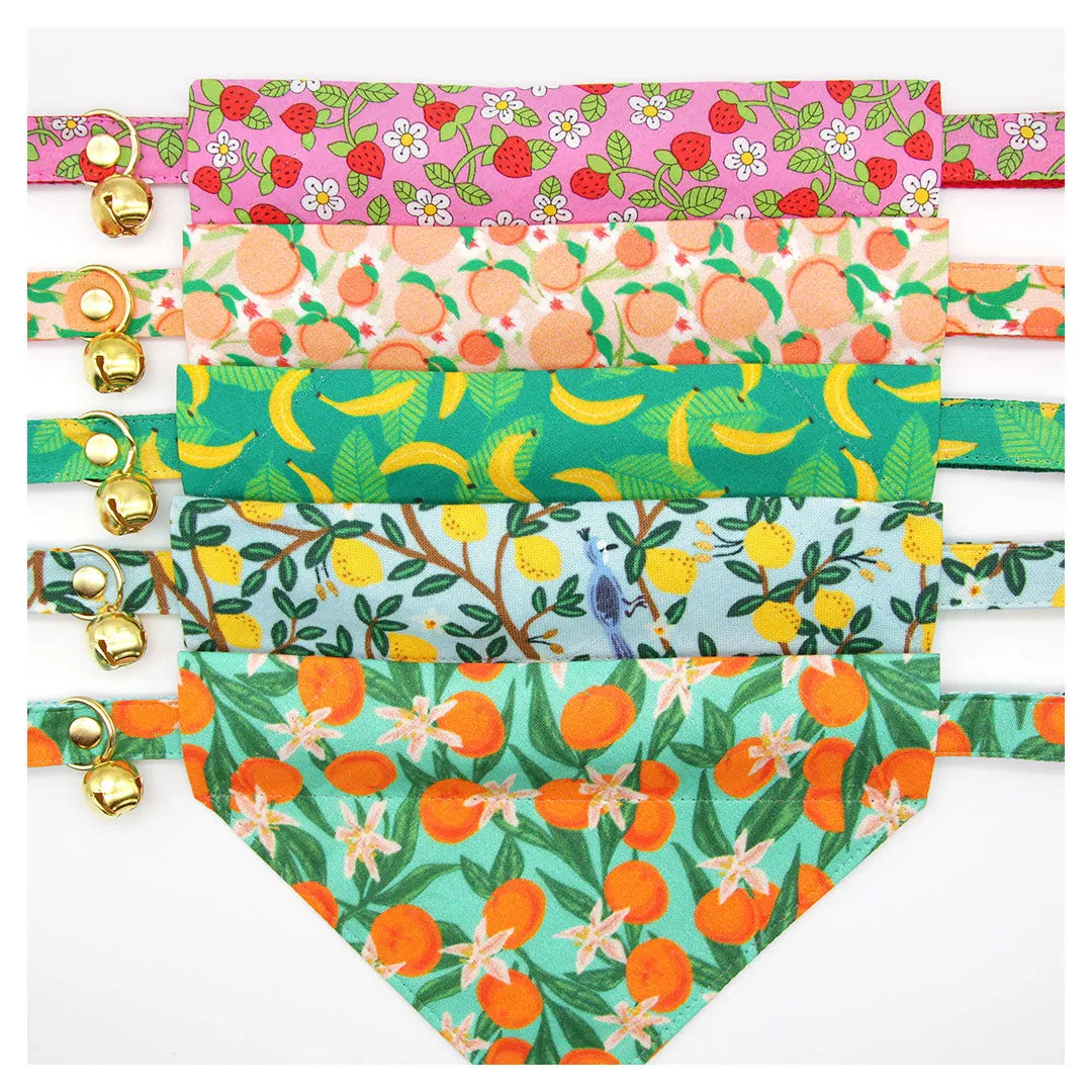 Pet Bandana - "Just Peachy" - Peach Bandana for Cat   Small Dog / Peaches Slide-on Bandana / Over-the-Collar (One Size)