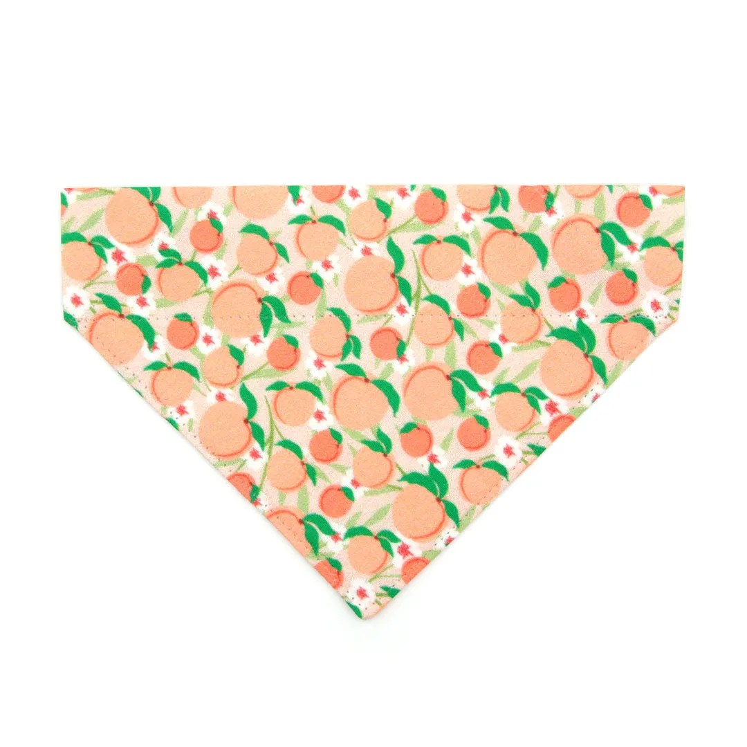 Pet Bandana - "Just Peachy" - Peach Bandana for Cat   Small Dog / Peaches Slide-on Bandana / Over-the-Collar (One Size)