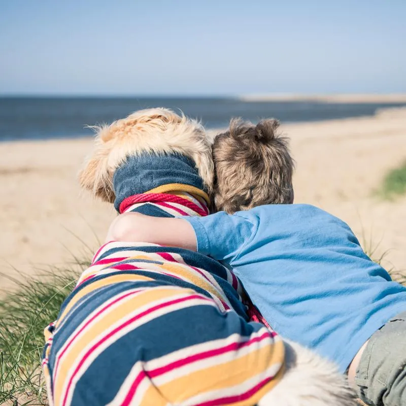 Ruff and Tumble Dog Drying Coat - Beach Stripe