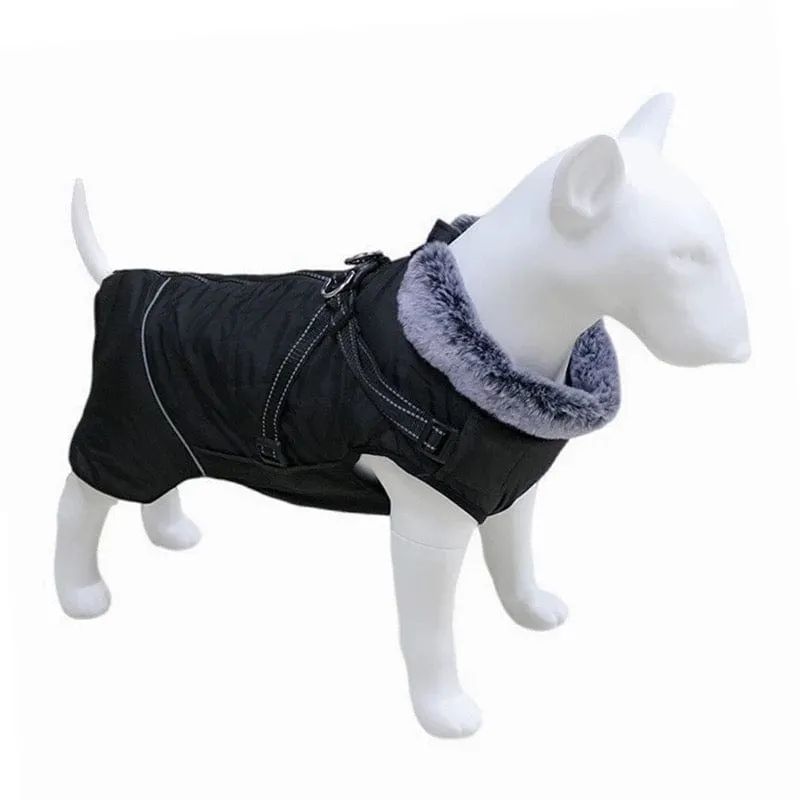 Winter Vest With Harness